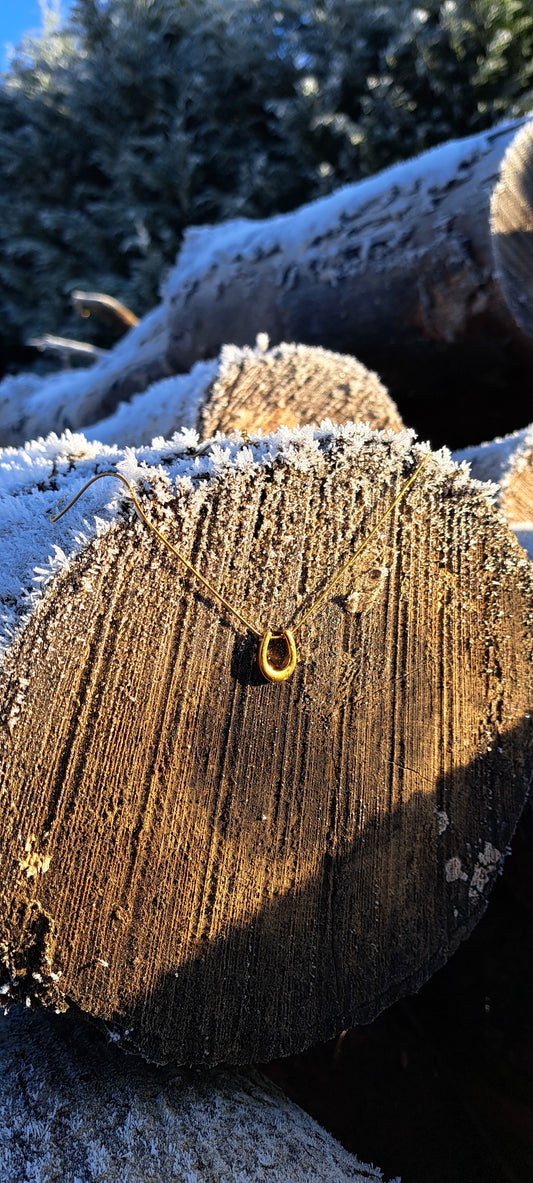 Golden Horseshoe Necklace