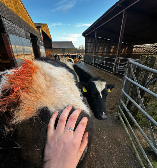 Moo ring