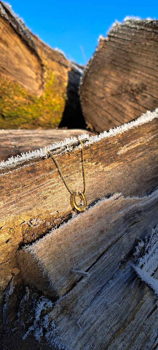 Golden Horseshoe Necklace